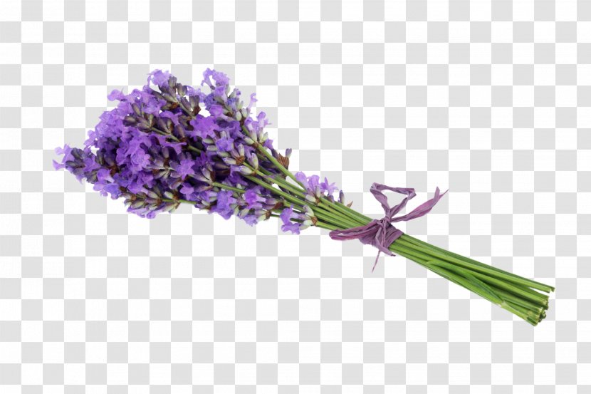 Lavender Flower Stock Photography Getty Images - Bouquet Transparent PNG