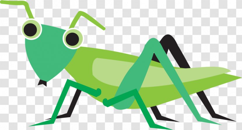Clip Art Beetle Grasshopper Insect Image - Cartoon Transparent PNG