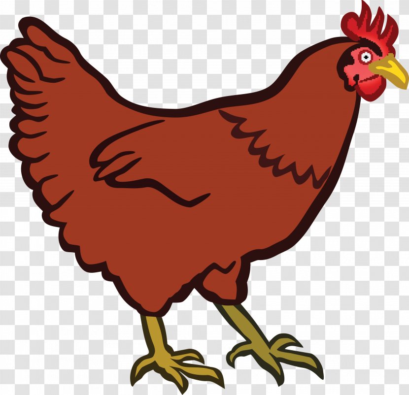 Cochin Chicken The Little Red Hen Clip Art - Livestock Transparent PNG