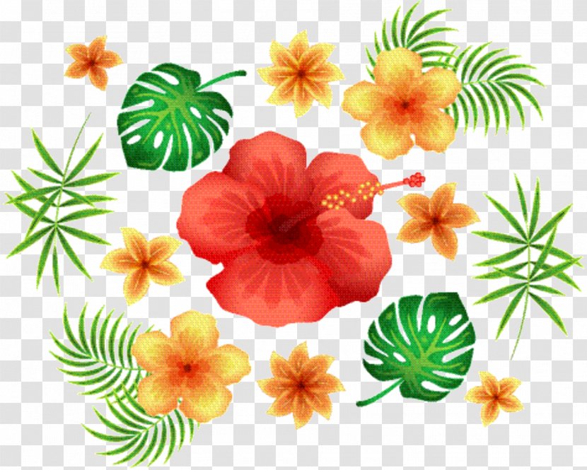 Hawaiian Flower - Petal - Mallow Family Wildflower Transparent PNG