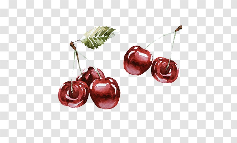 Cherry Drawing Download - Resource - Hand-painted Transparent PNG