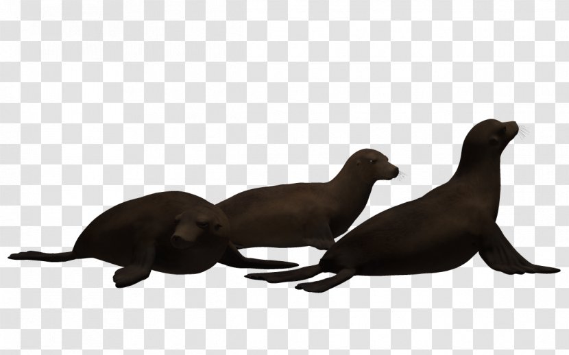 Sea Lion Three-dimensional Space Animation - Mammal - Fish Underwater World Transparent PNG