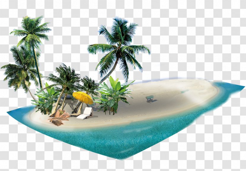 Zhuhai Haikou Shandong Airlines - Beach Coconut Tree Transparent PNG