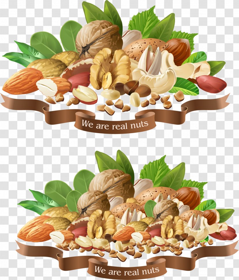 Nucule Royalty-free Stock Photography Illustration - Pine Nut - Vector Hand Painted Nuts Collection Transparent PNG