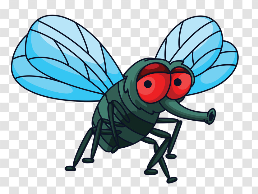 Insect Cartoon Fly House Fly Wing Transparent PNG