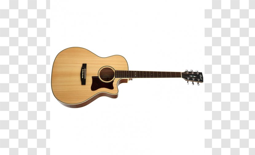 Taylor Guitars Acoustic Guitar Acoustic-electric - Tree Transparent PNG