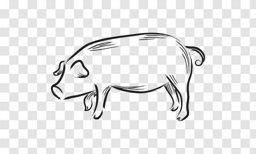 Chinese Zodiac Pig Dog Divination Transparent PNG