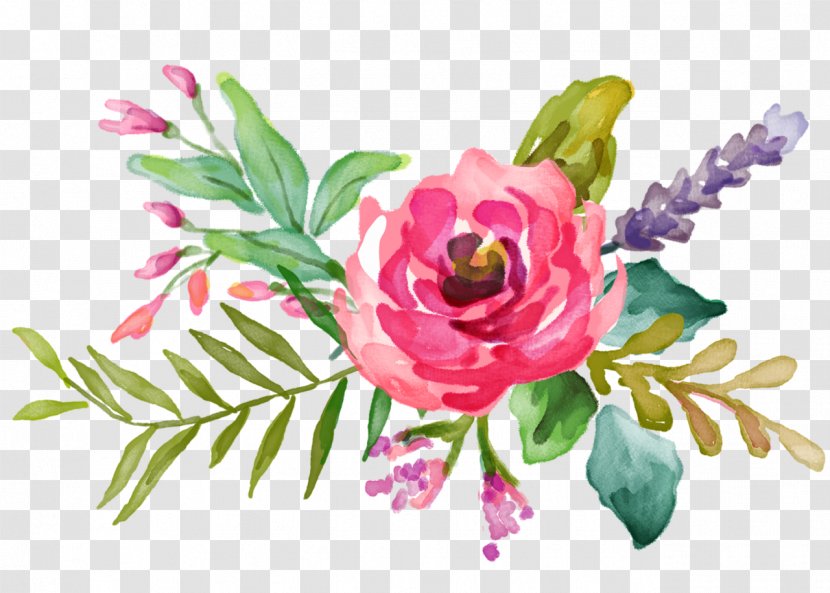 Flower Floral Design Watercolor Painting - Garden Roses Transparent PNG
