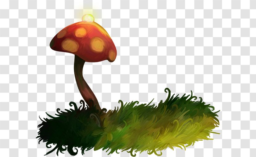 Mushroom Shiitake - Red - Mushrooms Green Grass Transparent PNG