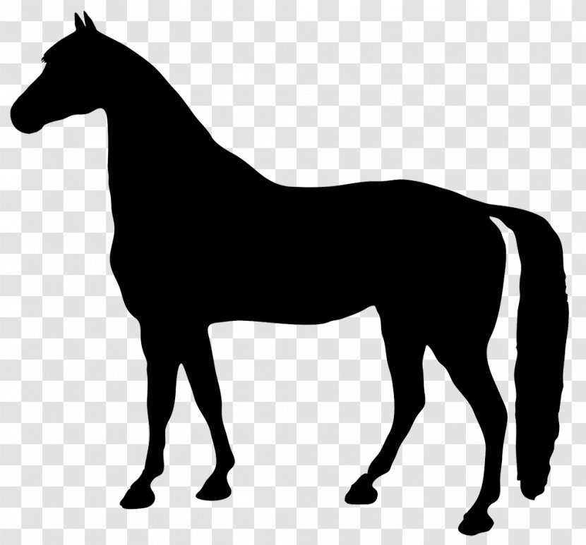 Standing Horse Silhouette Clip Art - Horseshoe Transparent PNG