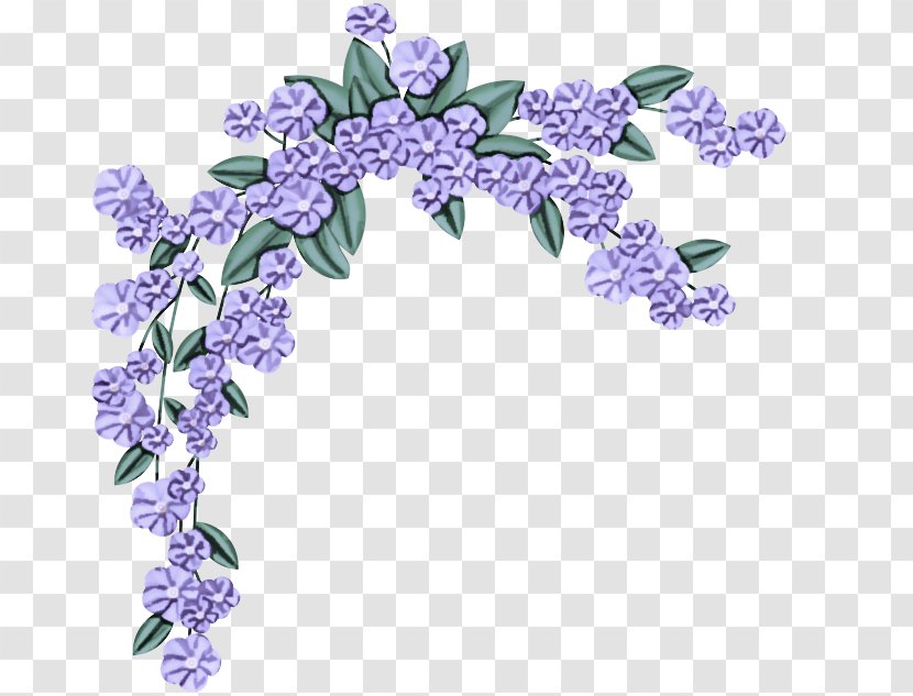 Lavender - Dendrobium - Flowering Plant Transparent PNG