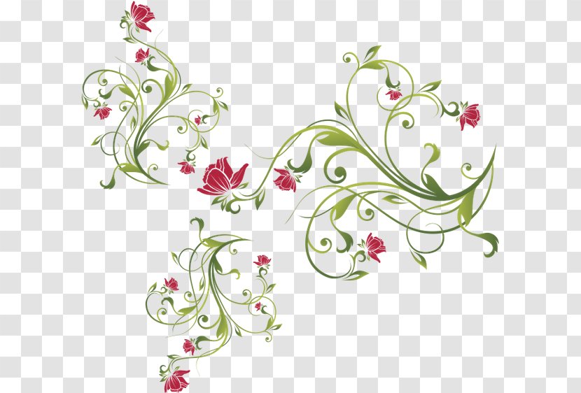 Floral Design Art Clip - Plant Stem Transparent PNG