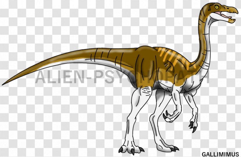 Gallimimus Dinosaur Velociraptor Tyrannosaurus Dilophosaurus - Vector Transparent PNG
