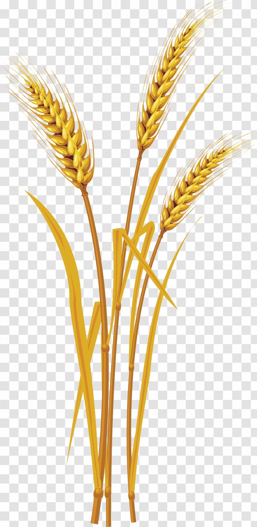 Oregon Wheat Commission Icon Computer File - Commodity Transparent PNG