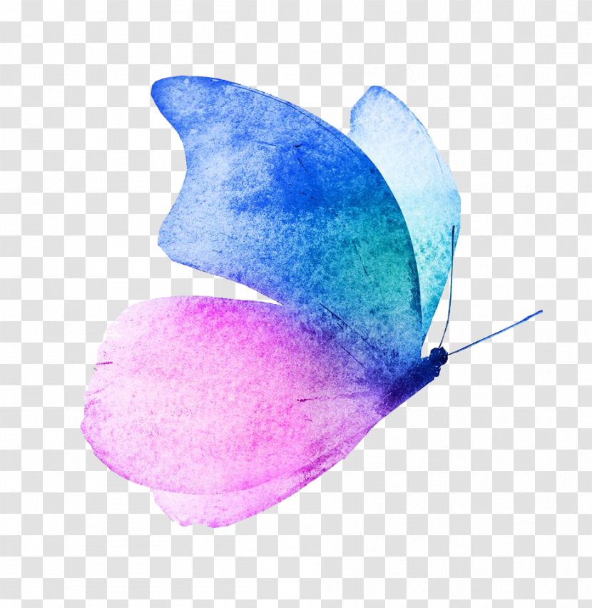 Butterfly Watercolor Painting Image Royalty-free Transparent PNG