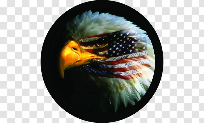 Bald Eagle Flag Of The United States Gadsden Transparent PNG