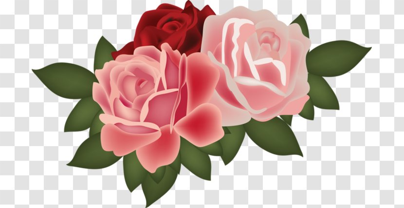 Garden Roses Flower Clip Art Transparent PNG
