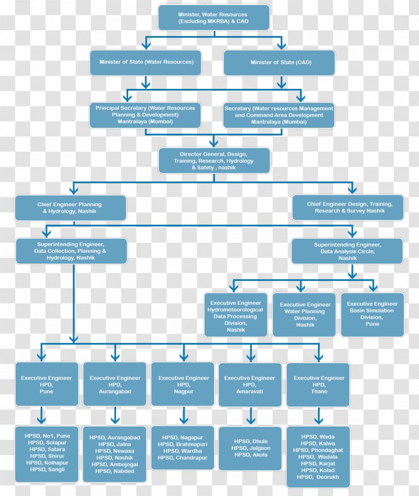 Organizational Chart Structure Matrix Management - Information - Organization Transparent PNG