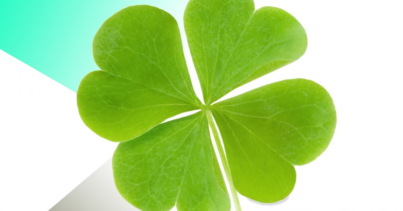 Four-leaf Clover Shamrock Luck Transparent PNG