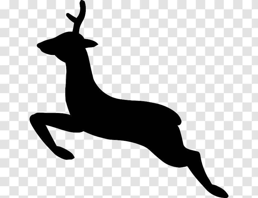 White-tailed Deer Reindeer Moose Clip Art - Black And White - Vector Woods Transparent PNG