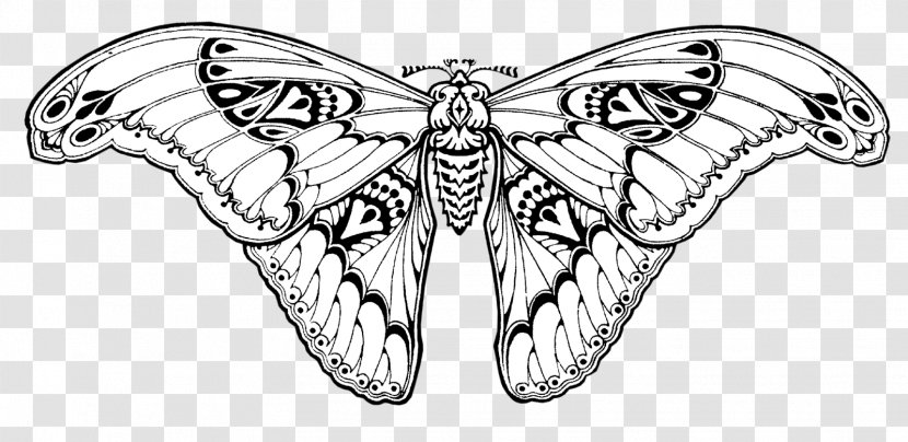Brush-footed Butterflies Moth Butterfly Insect Wing Transparent PNG