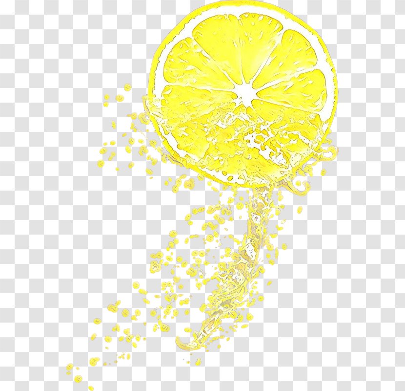 Lemon Tree - Acid - Citrus Meter Transparent PNG