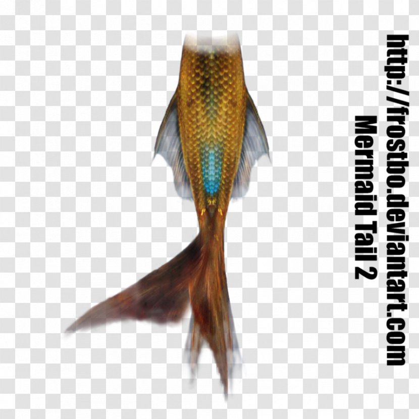 Mermaiding Tail Merman Art - Deviantart - Mermaid Transparent PNG