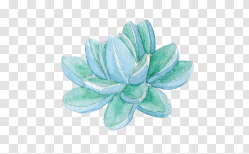 IPhone - Flower - Succulant Transparent PNG