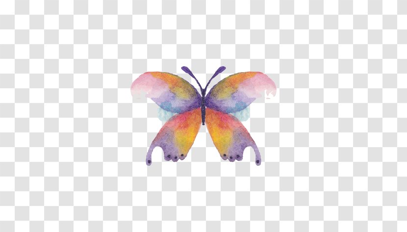 Butterfly Watercolor Painting Drawing - Invertebrate Transparent PNG