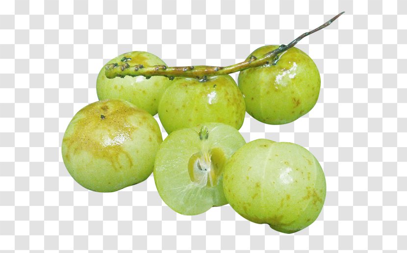 Food Greengage Enzyme Farm Alcoholic Drink - Vegetable - Agriculture Transparent PNG