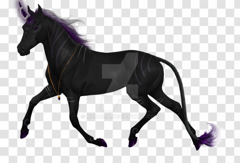 Mane Mare Stallion Foal Colt - Fictional Character - Mustang Transparent PNG