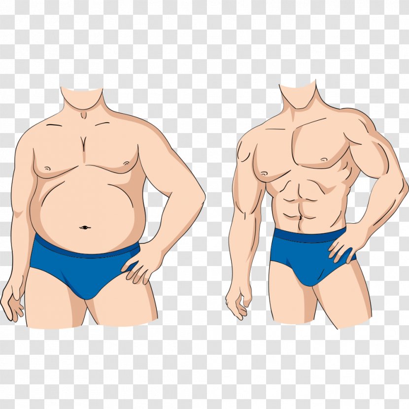 Adipose Tissue Weight Loss Cartoon Illustration - Silhouette - Man Transparent PNG