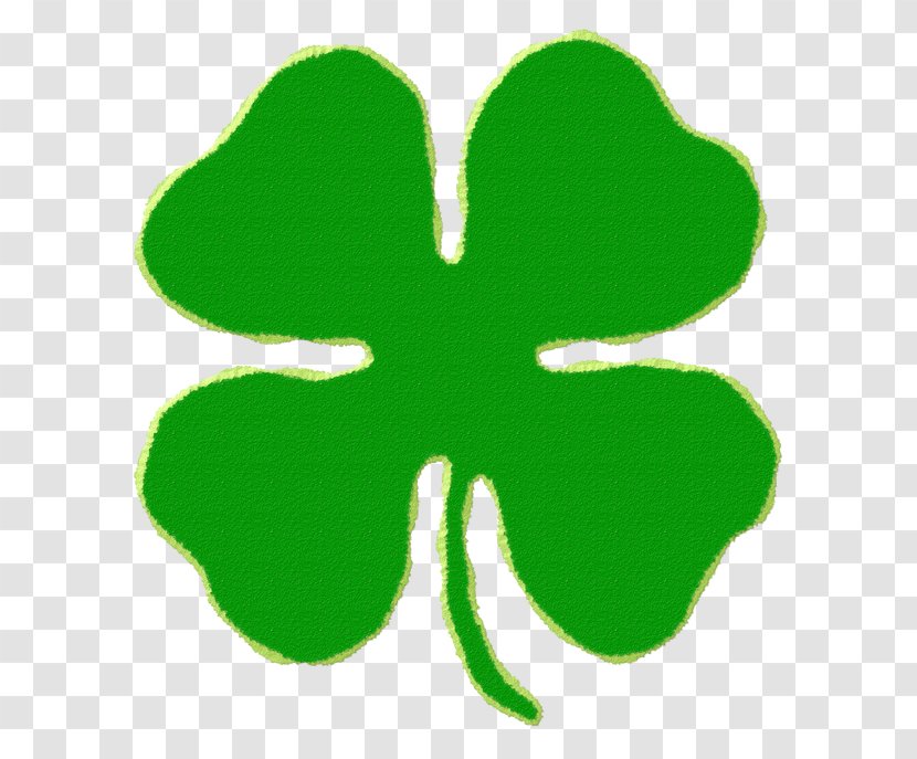 Four-leaf Clover Saint Patrick's Day Luck Clip Art - Plant - Border Transparent PNG