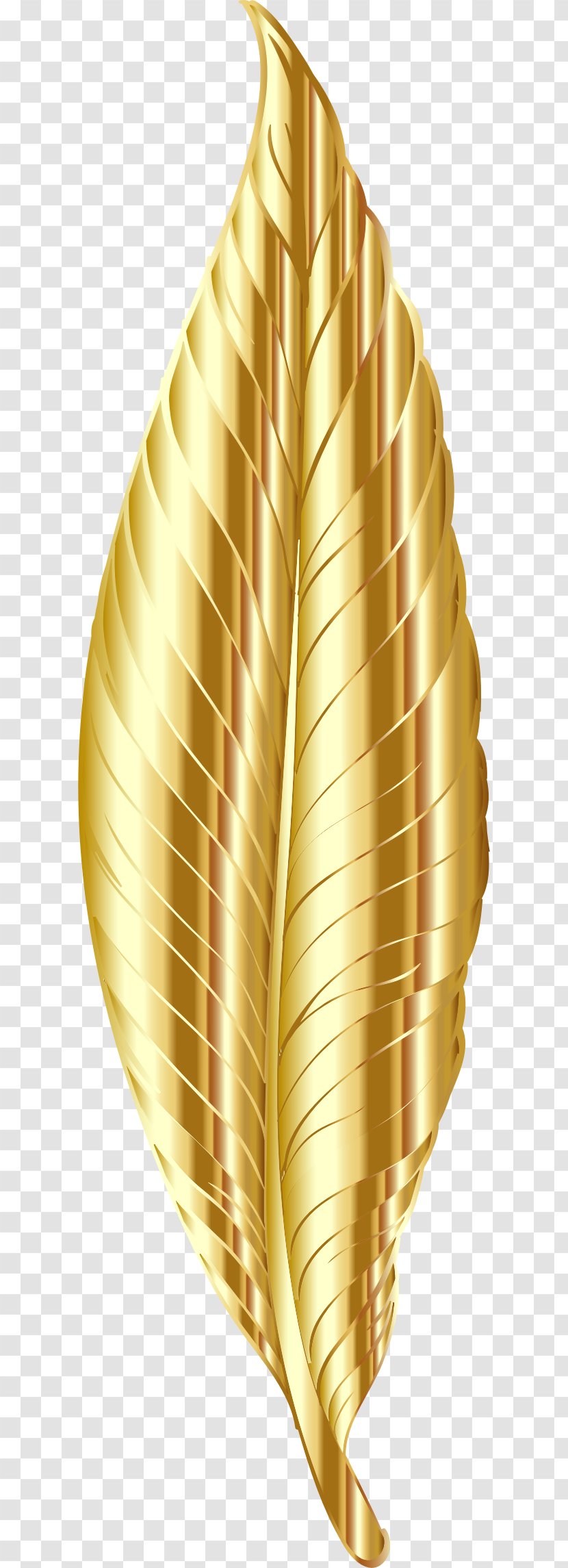 Gold Feather Clip Art - Seashell Transparent PNG