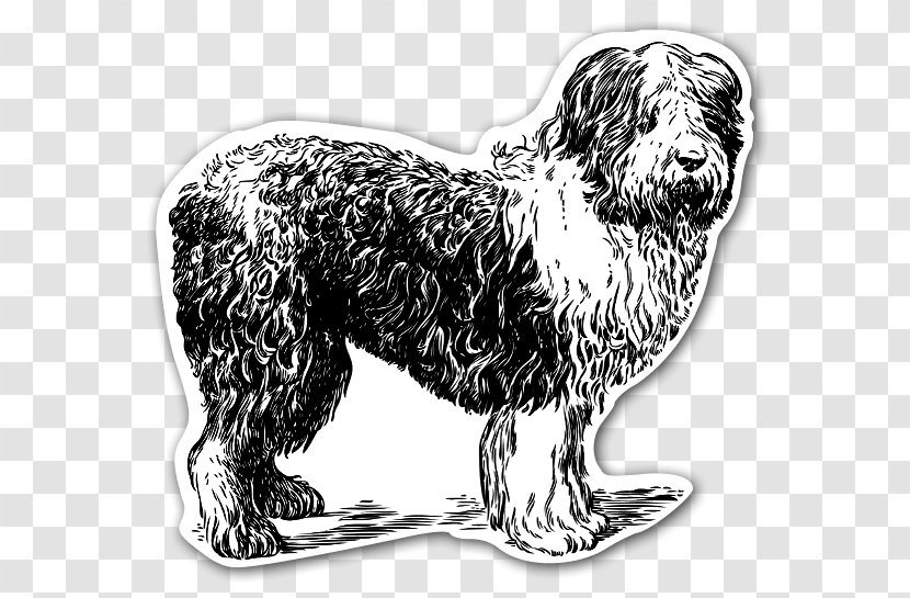 Old English Sheepdog Shetland German Shepherd Belgian - Dog Like Mammal - Sheep Transparent PNG
