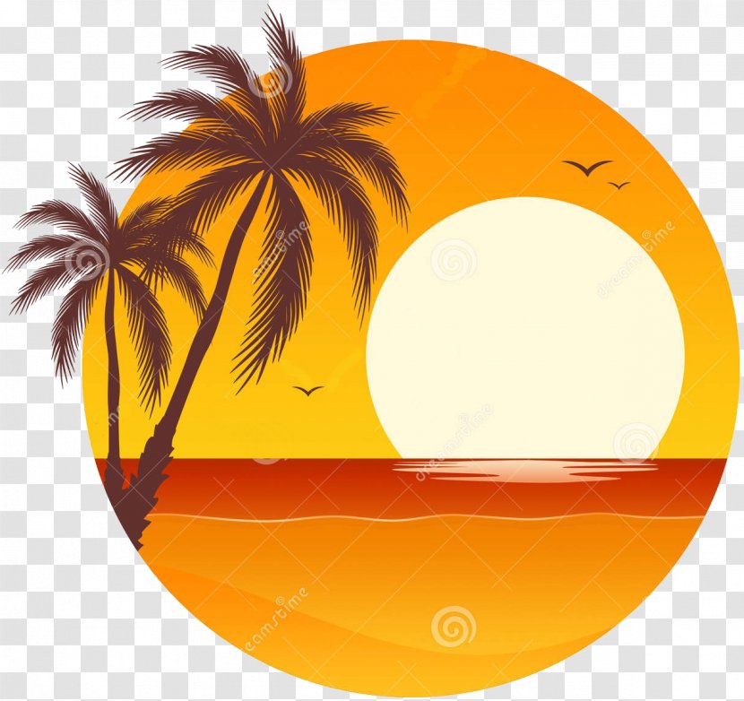 Sunset Clip Art - Royaltyfree - Palm Border Transparent PNG