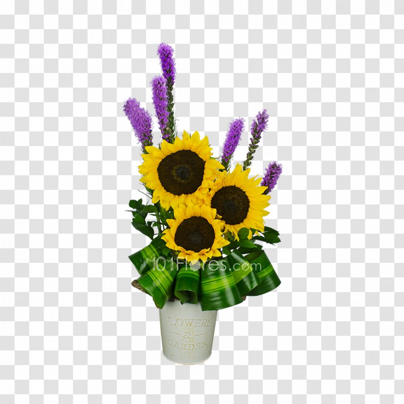 Floral Design Cut Flowers Flower Bouquet Common Sunflower Transparent PNG