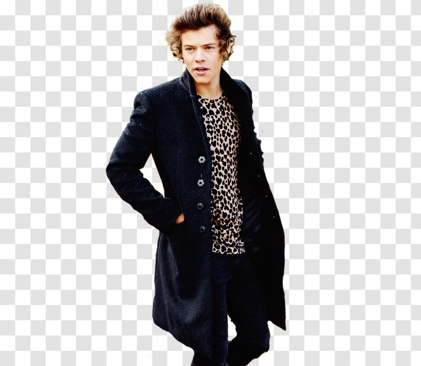 Harry Styles One Direction Clip Art - Cartoon Transparent PNG
