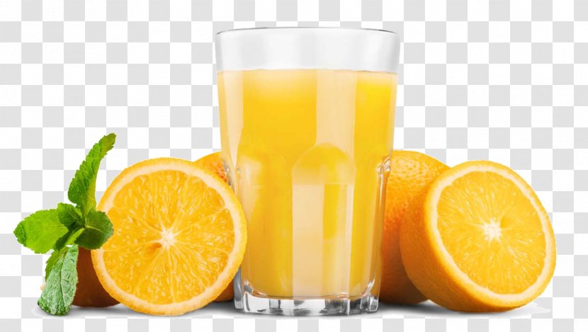 Orange Juice Cocktail Soft Drink Carbonated Water - Harvey Wallbanger Transparent PNG