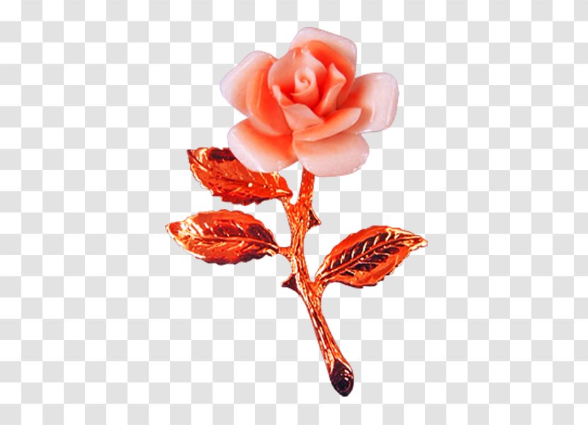 Software Rose Preview - Garden Roses - Jewelry Transparent PNG