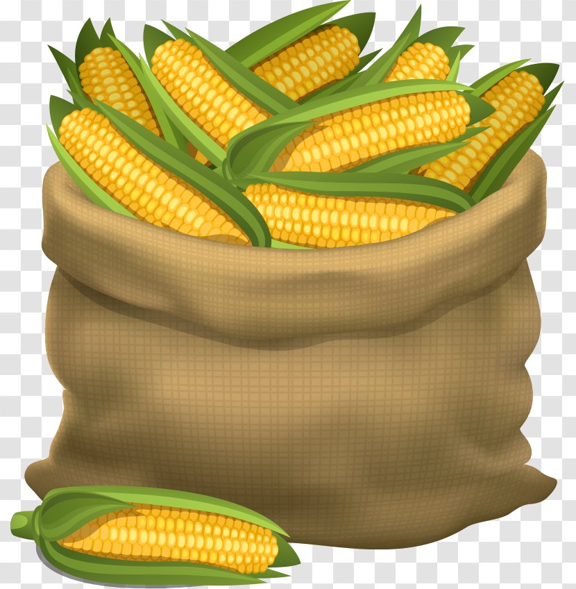 Maize Cornhole Gunny Sack Illustration - Sweet Corn - Vector Transparent PNG