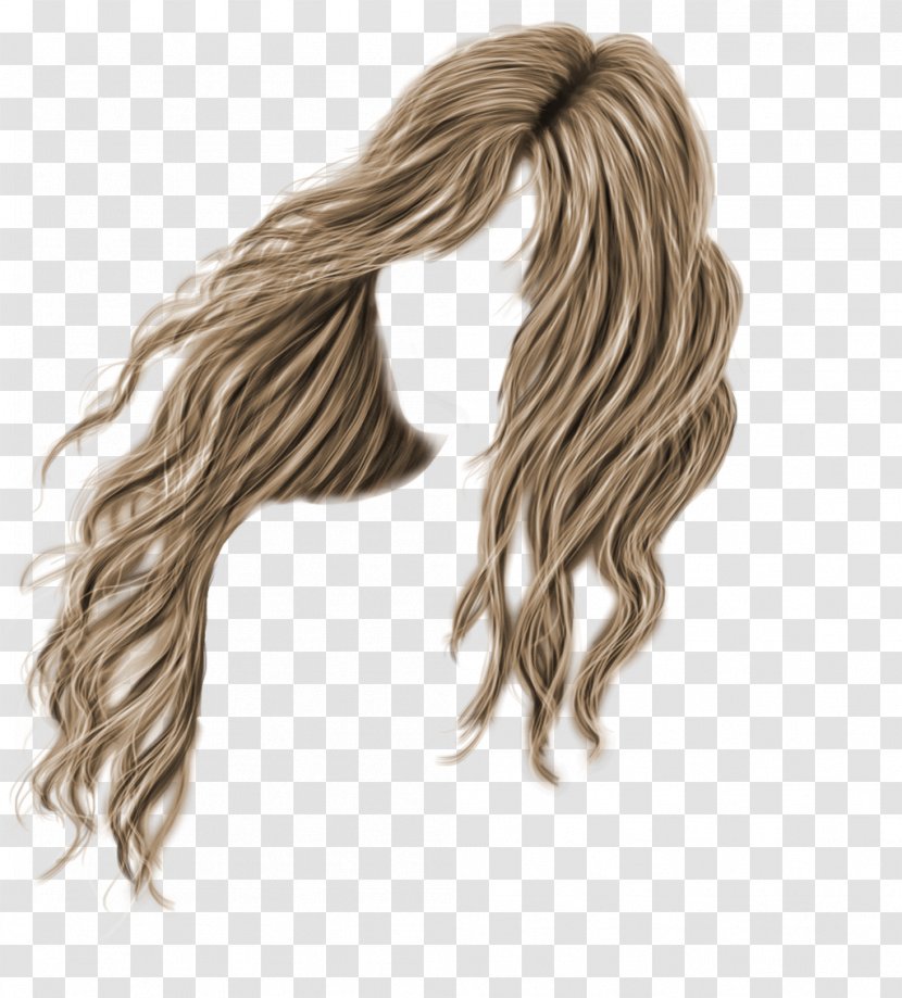 Long Hair Coloring DeviantArt - Brown - Strand Of Transparent PNG