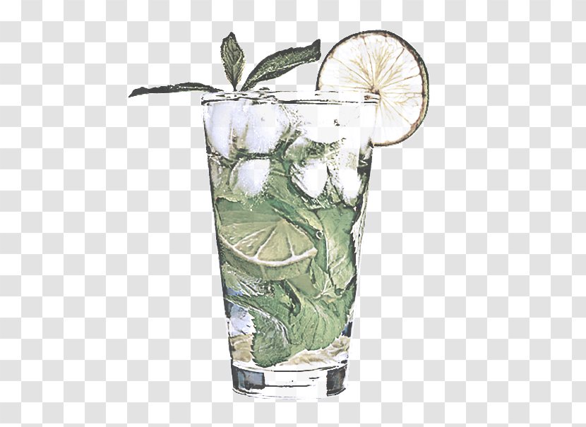 Highball Glass Cocktail Garnish Drink Plant Non-alcoholic Beverage - Nonalcoholic - Anthurium Distilled Transparent PNG