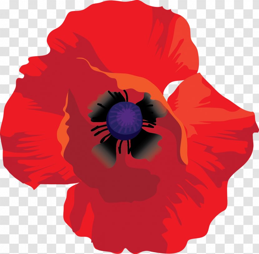 Pansy Petal - Seed Plant - Red Poppies Transparent PNG