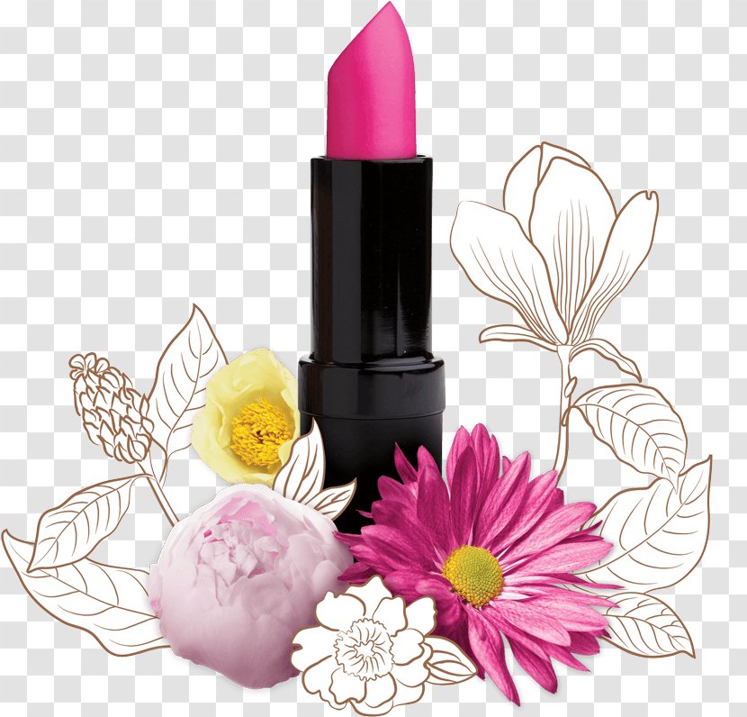 Lipstick Cosmetics Lanolin Lip Liner - Cream Transparent PNG