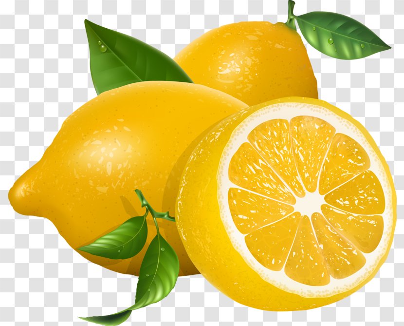 Lemonade Lemon-lime Drink Clip Art - Lemon Lime Transparent PNG