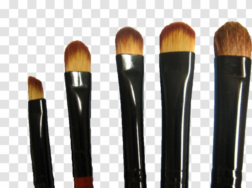 Paint Brushes Make-Up Eye Shadow - Hour - Shading Pattern Transparent PNG