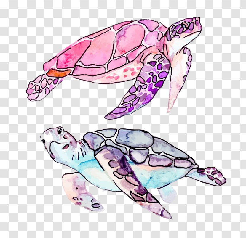 Turtle Clip Art Vector Graphics Royalty-free Illustration - Kemps Ridley Sea - Accidents Watercolor Transparent PNG