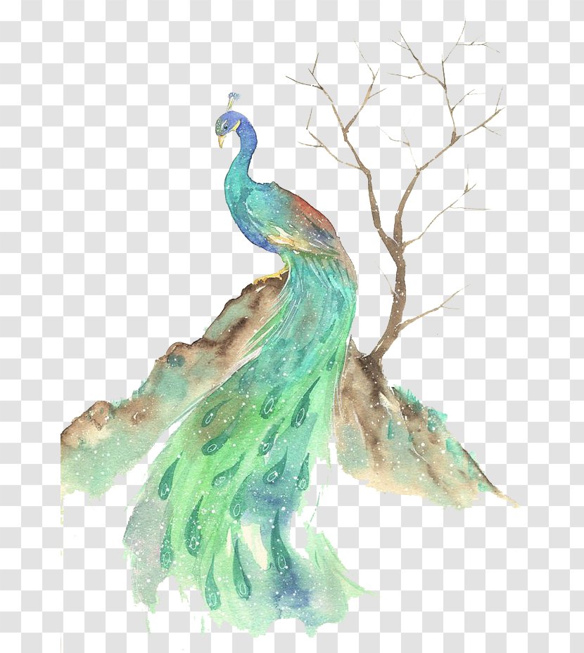 Bird Peafowl Watercolor Painting - Peacock Transparent PNG