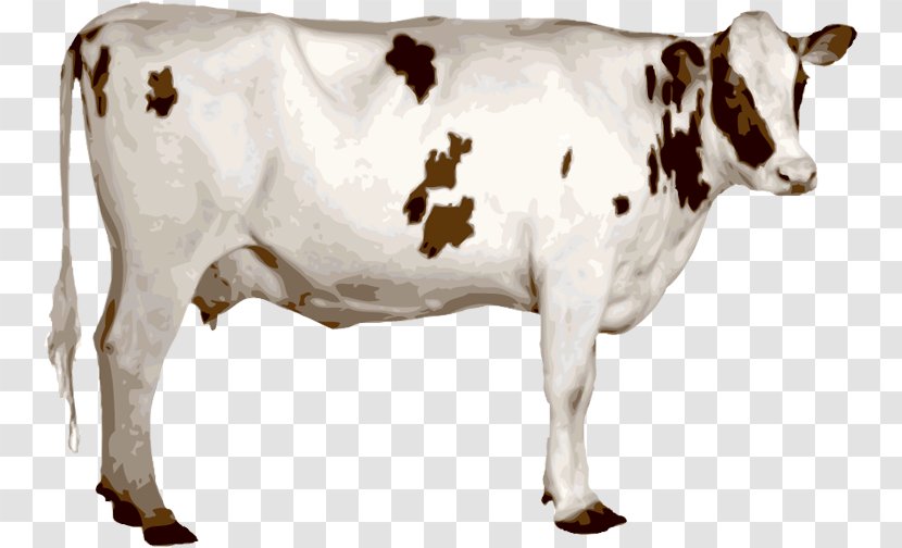 Holstein Friesian Cattle Ongole Texas Longhorn Jersey Dairy - Cow Goat Family - A Transparent PNG